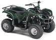 Yamaha Grizzly 80. ,  \,   