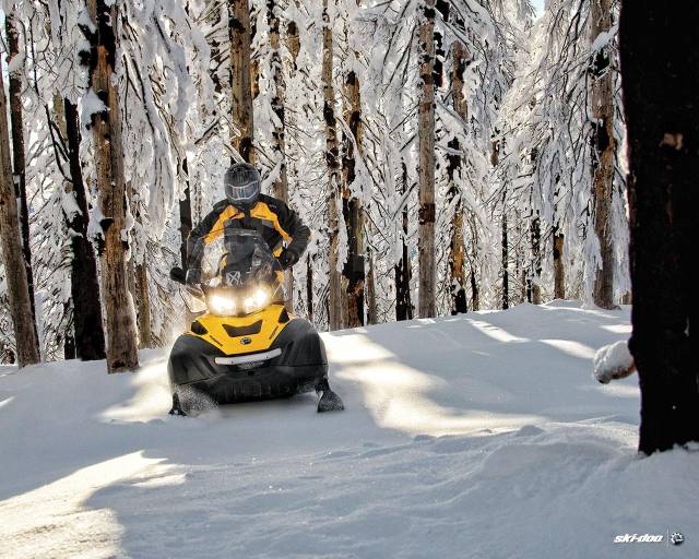 BRP Ski-Doo Skandic WT 600. ,  ,   