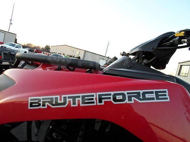 Kawasaki Brute Force 750. ,  \,   