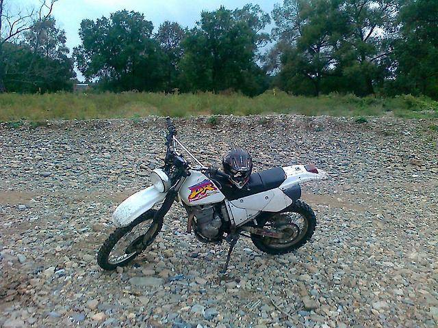 Suzuki DR 250. 249. ., , ,   