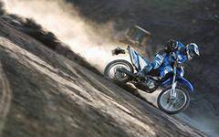 Yamaha WR 250. 250. ., , ,   