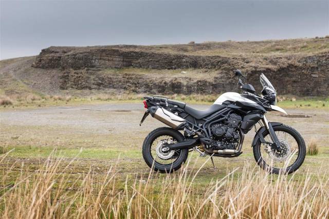 Triumph Tiger. 800. ., , ,   