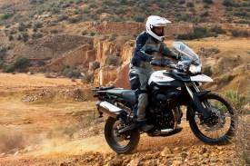 Triumph Tiger. 800. ., , ,   