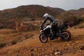 Triumph Tiger. 800. ., , ,   