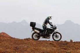 Triumph Tiger. 800. ., , ,   