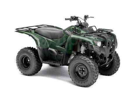 Yamaha Grizzly 300. ,  \,   