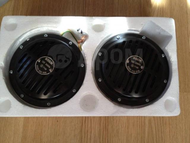 Nasosdan keyin mushukning fotosurati