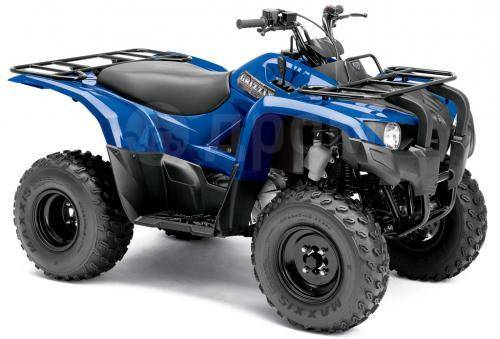 Yamaha Grizzly 300. ,  \,   