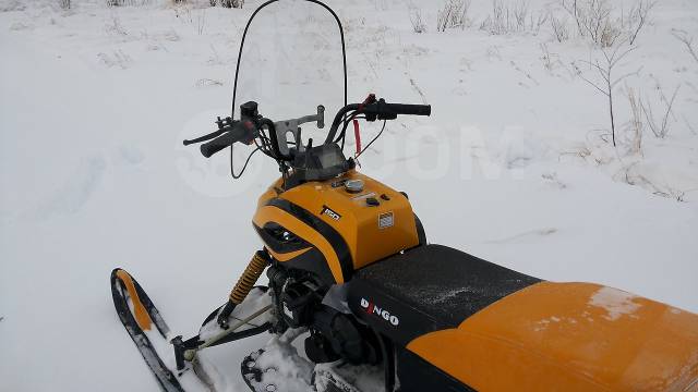 Irbis Dingo T150. ,  ,   