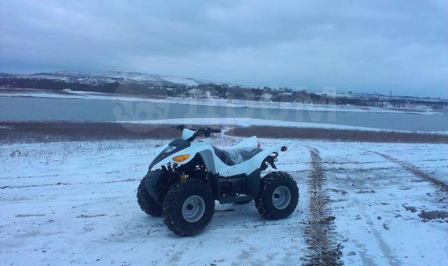 Arctic cat Z 440. ,  \,   