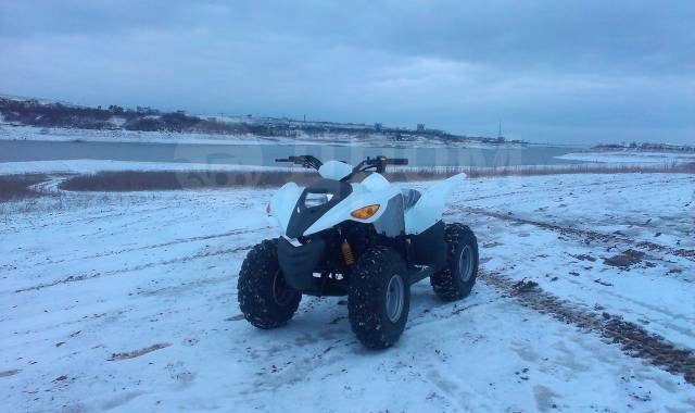 Arctic cat Z 440. ,  \,   