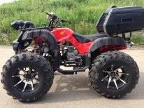 Yamaha Grizzly. ,  \,  .     