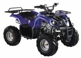 Motoland ATV 125U. ,  \,   