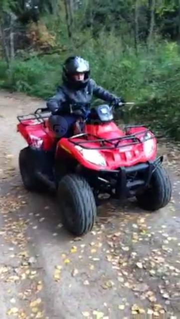 Arctic Cat 300. ,  \,   