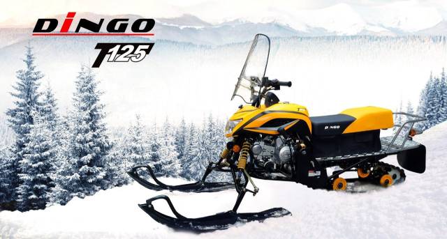 Irbis Dingo T125. ,  ,  .     