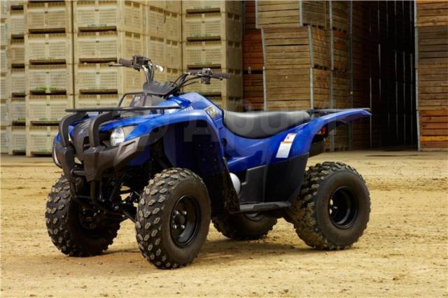 Yamaha Grizzly 300. ,  \,   