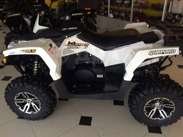 Stels ATV 800G Guepard ST. ,  \,   