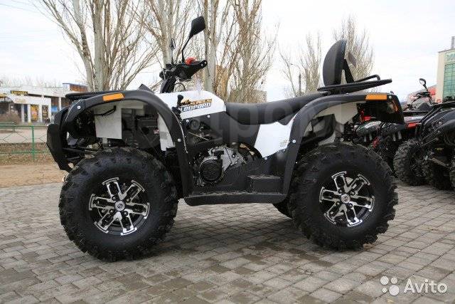 Stels ATV 600Y Leopard. ,  \,   