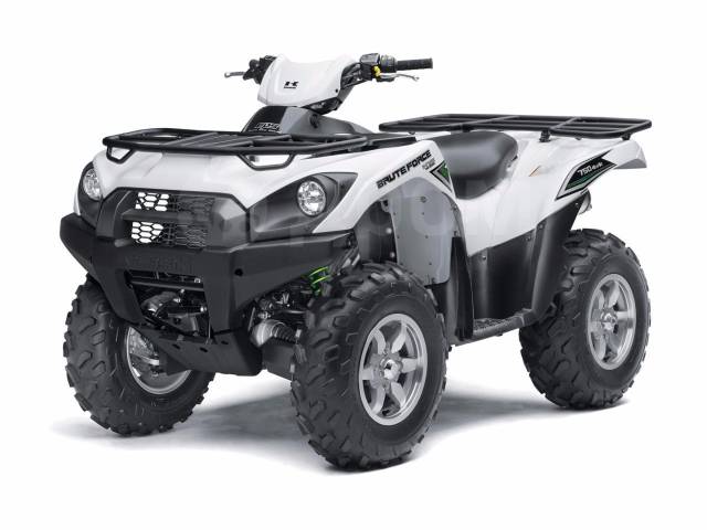 Kawasaki Brute Force 750. ,  \,   