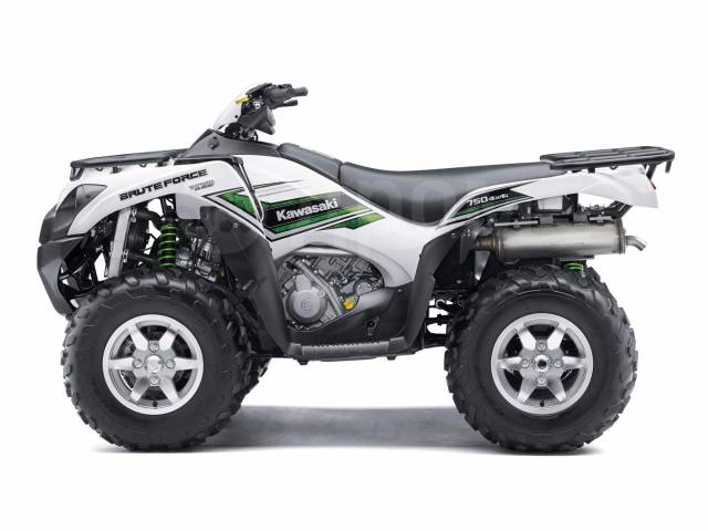 Kawasaki Brute Force 750. ,  \,   