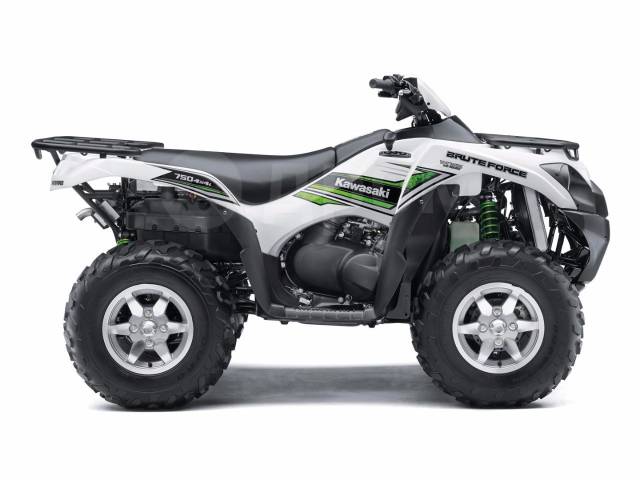 Kawasaki Brute Force 750. ,  \,   