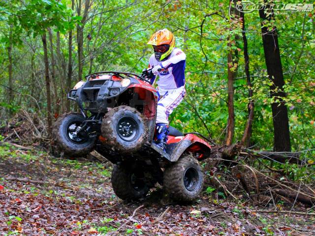 Kawasaki Brute Force 300. ,  \,  .     