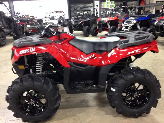 Arctic Cat 700. ,  \,  .     