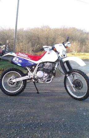 Honda XR 600R. 600. ., , ,   