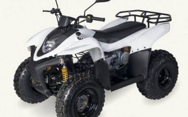 Stels ATV 100. ,  \,   