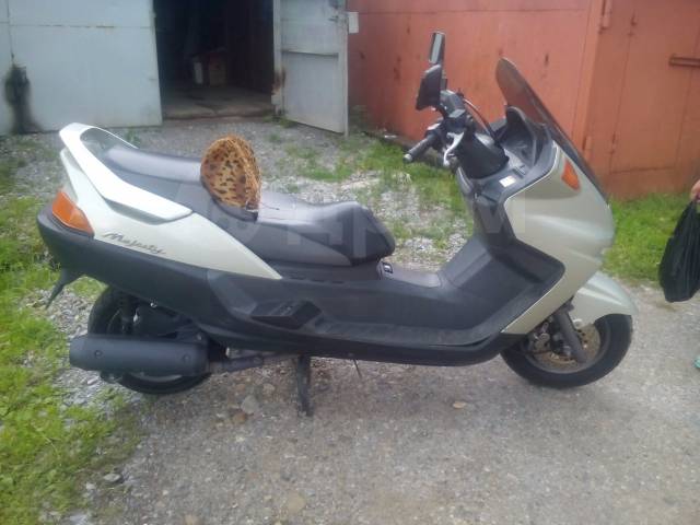 Yamaha Majesty 250. 250. ., , ,   