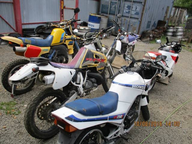 Suzuki RMX 250. 250. ., , ,   