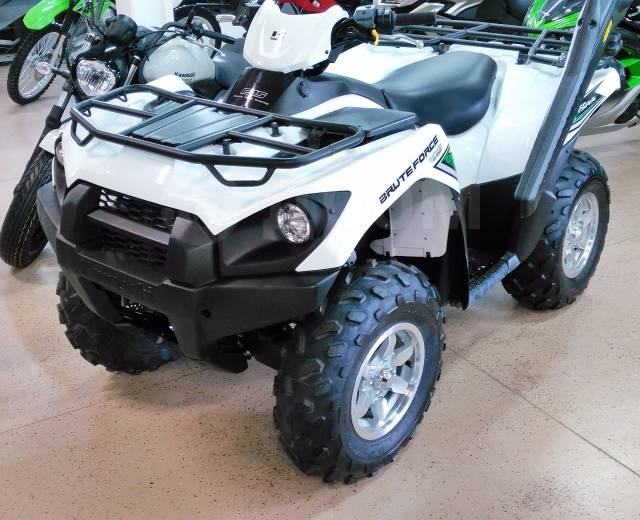 Kawasaki Brute Force 750. ,  \,   