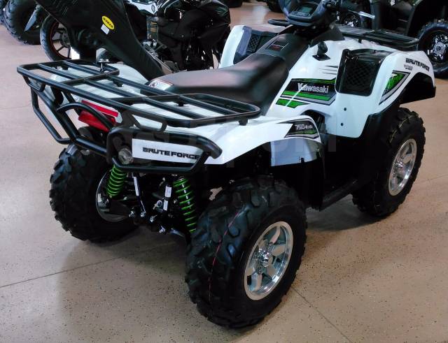 Kawasaki Brute Force 750. ,  \,   