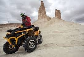 Stels ATV 800G Guepard Trophy. ,  \,   