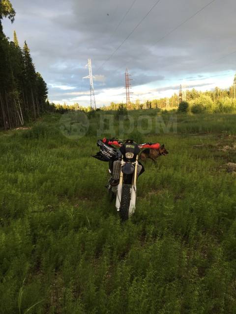 Stels Forsage 450 Enduro. 450. ., , ,   