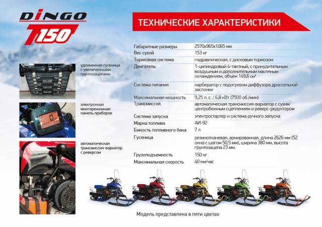 Irbis Dingo T150. ,  ,  .    - 