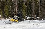 BRP Ski-Doo Skandic. ,  ,   