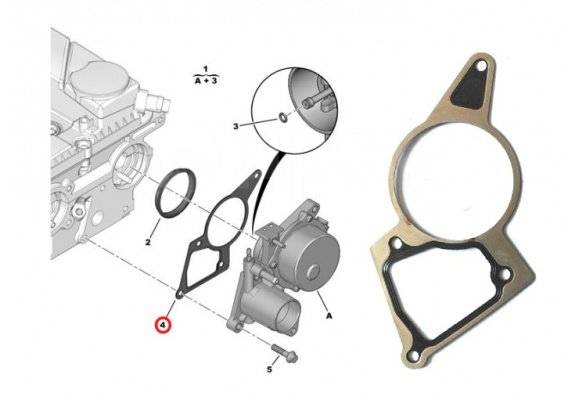 Насос вакуумный на Ford Connect TC7