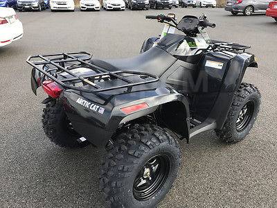 Arctic Cat 700. ,  \,  .     