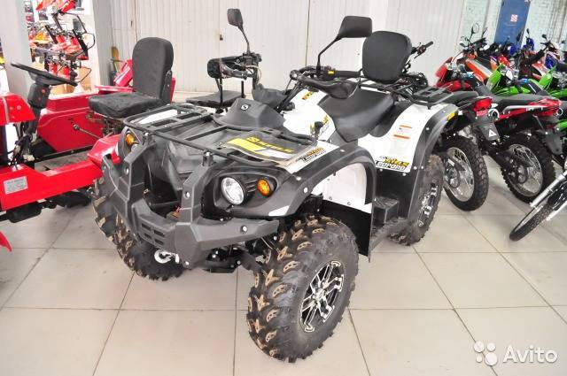 Stels ATV 600Y Leopard. ,  \,   