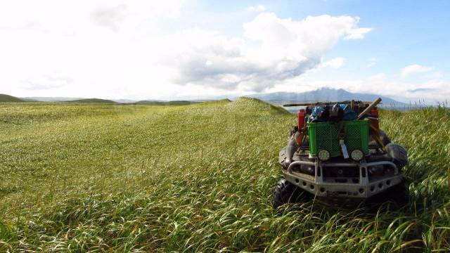 Yamaha Grizzly 700. ,  \,   