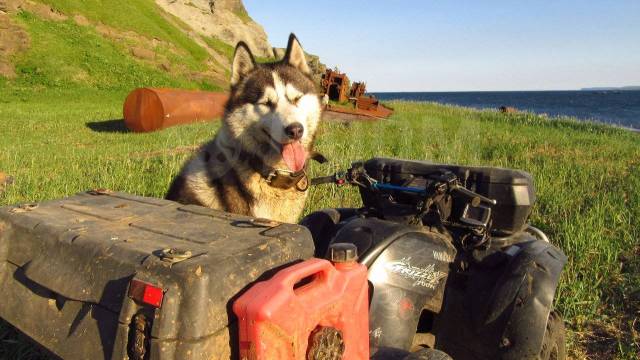 Yamaha Grizzly 700. ,  \,   