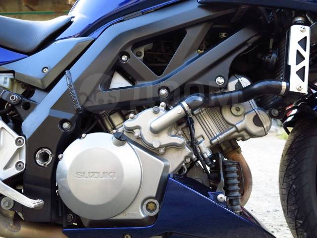 Suzuki SV 1000. 1 000. ., , ,   