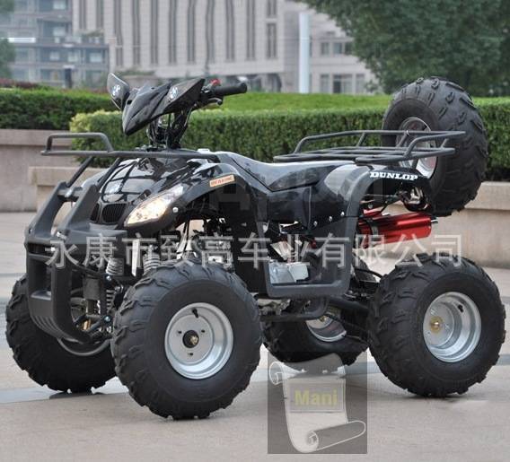 Квадроцикл BMW gg Quad