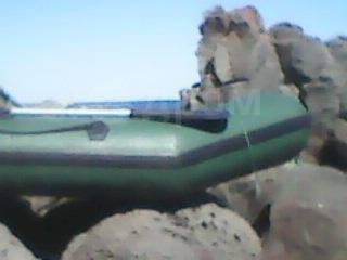 Limus 