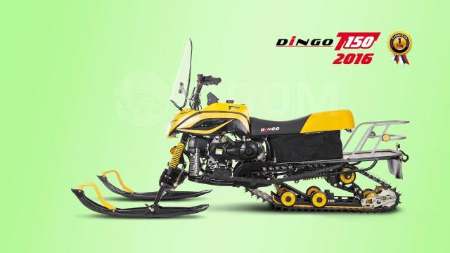 Irbis Dingo T150. ,  ,   