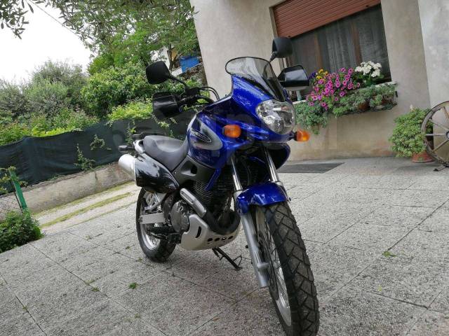 Suzuki XF 650 Freewind. 650. ., , ,  .    - 