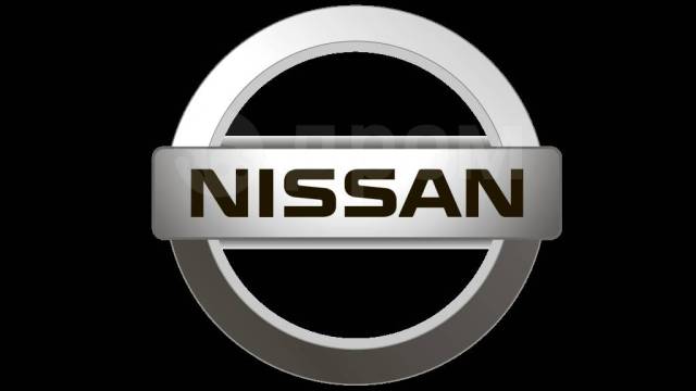 Пацан на значке ниссан фото Чип тюнинг Nissan, Infiniti перевод на euro 2, удаление катализатора в Новосибир