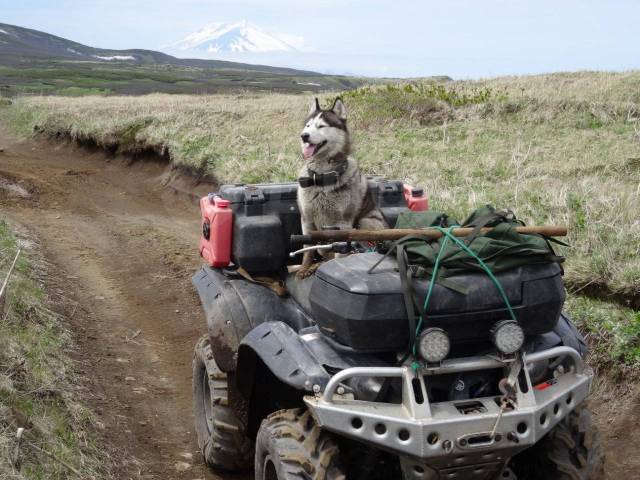 Yamaha Grizzly 700. ,  \,   