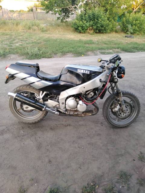 Yamaha FZR 250. 250. ., , ,   